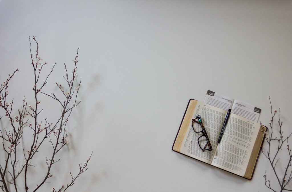 bible flat lay on a white table with branches