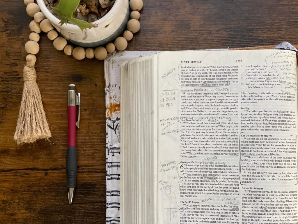 flat lay of bible, pencil, and small plant