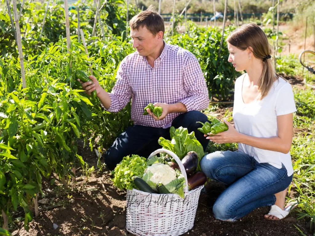 husband and wife working side by side in the garden