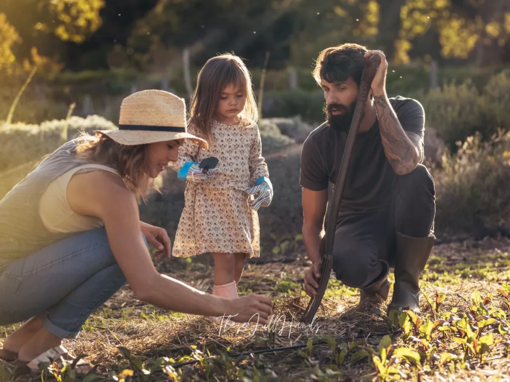 husband, wife, and little girl planting in the garden together and talking